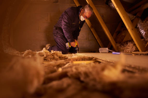 Best Basement Insulation  in Bangor Base, WA